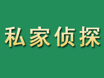 宁都市私家正规侦探